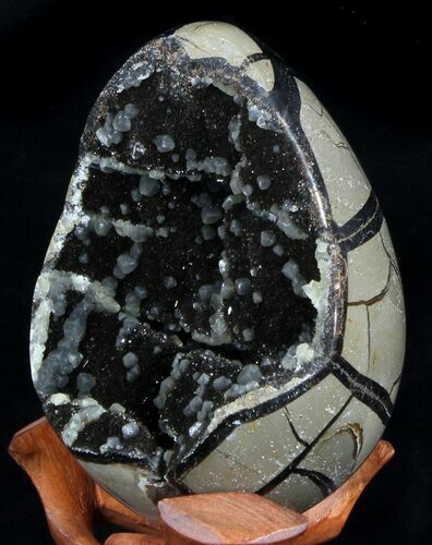 Septarian Dragon Egg Geode - Crystal Filled #37363
